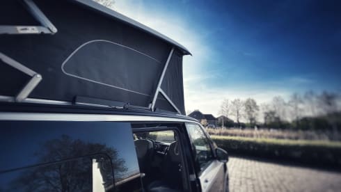 Roadie – New California Ocean 2025 4p