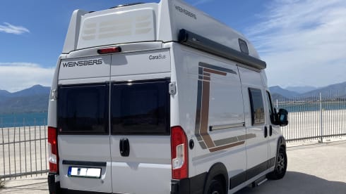 Winni – Weinsberg CaraBus 600 MQH