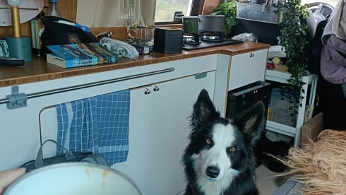 Tess – Camper elegante e confortevole 