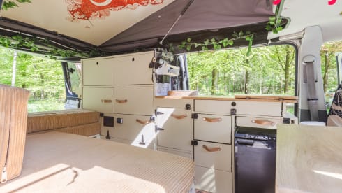 Alice The Van – Künstlerischer Dschungelcamper