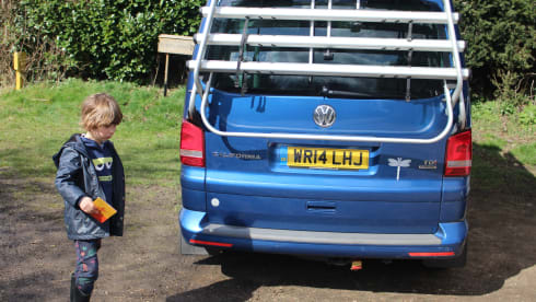 Dragonfly – VW California