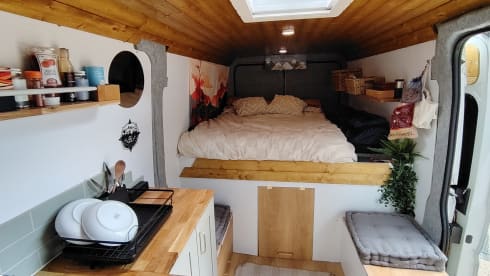 Adventure Van 
