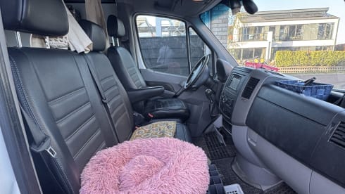 3-seater Volkswagen bus from 2012