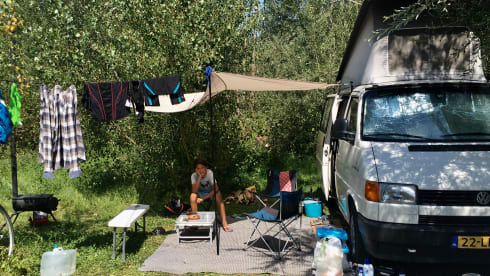 T4 – Delicious compact T4 Westfalia California camper