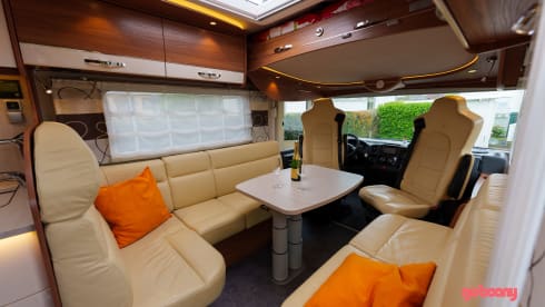 Frankia integral I65 Exclusive