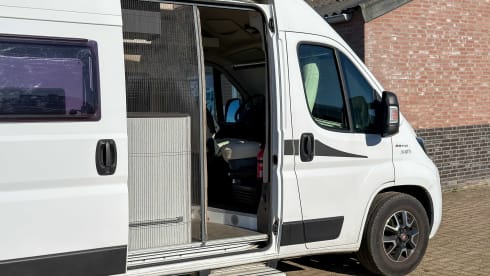 Witte Vlegel – Mclouis Menfys Matic 