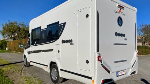 Chihuahua on the road – 2p Benimar semi-integrated from 2022