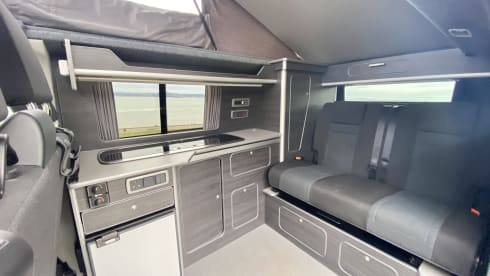Rogue Two – Meet 'Rogue Two' - he's an absolute beauty (VW T6)