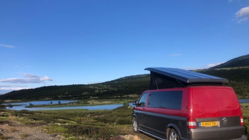 Mambo No.1 – Volkswagen Campervan 'Extra long' 