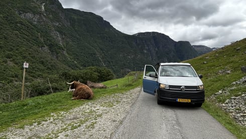 Hopper L2 – 5 Person Volkswagen T6 "Hopper"