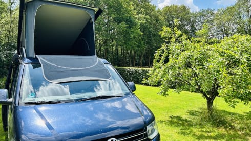 Blaue blitz – Wonderful original VW California 