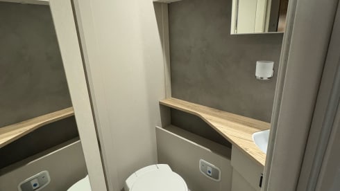 Luxury 4p Detleffs Trend from 2022
