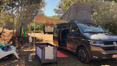 CALI Grey – Volkswagen California OCEAN Green&White