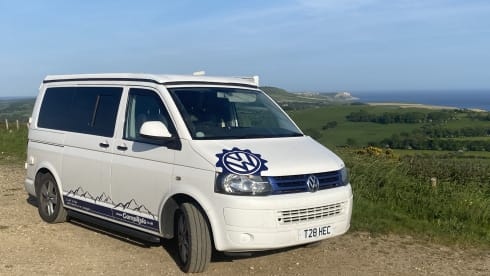Hector – T5 VW (2012), White Pop-Top (SWB)
