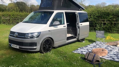 Ivy – Pet friendly VW campervan - MK13 Milton Keynes