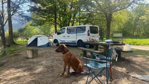 Ranoch The Renault  – 4/6 berth Renault campervan from 2015