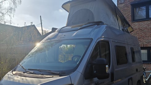 Vinny – 4-sitziger Fiat-Bus ab 2025