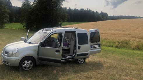 Willi – Vermiete Renault Kangoo Minicamper Eigenumbau