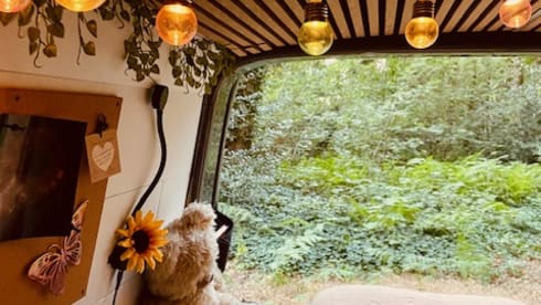 Nova – 2p Volkswagen bus uit 2013