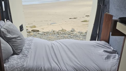 Jenny Wren – Mr DGB