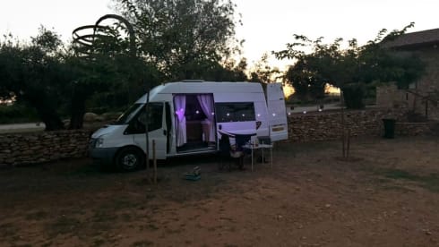 Fern the Ford Transit – 🚐✨ Meet Fern – Your Home on Wheels for the Ultimate Getaway! ✨🚐