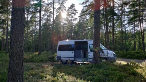 Ben the Van – Beautiful campervan suitable for family