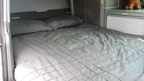 Bettie – VW California Ocean | Freedom & Comfort on Wheels!