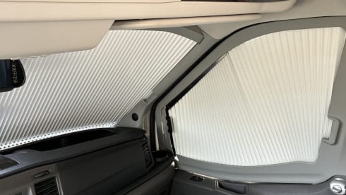 4-seater Ford Roller Team automatic 170 hp from 2021