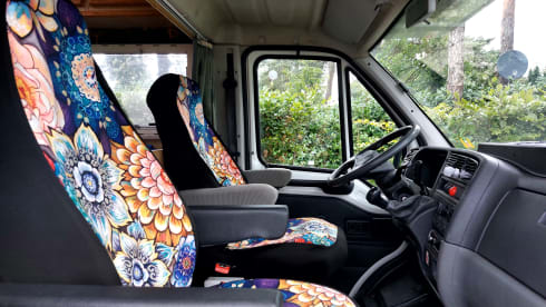"Sminty Minty" – Nice Fiat Ducato (family) camper