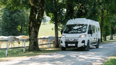 Adria Twin 640 SGX E