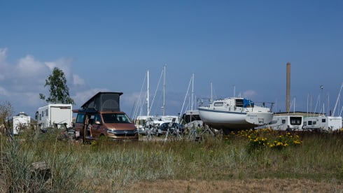 Copper Bronze – VW California Ocean T6.1