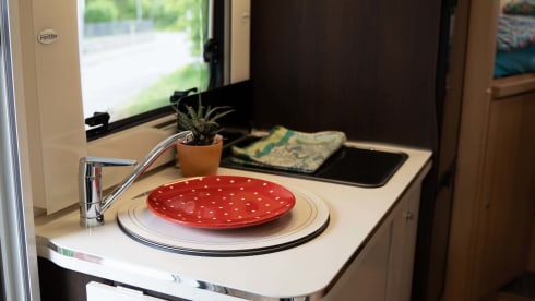 Franky – Rent Me:)