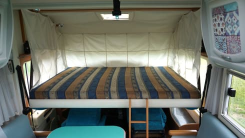 Fijne Frankia camper