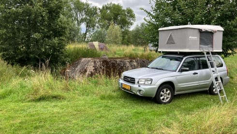Co de BosCamper – Rooftop Tent Adventure: Subaru Forester x EGOE Nestbox Supertramp x Yuna Sheepie