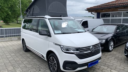 Cali – Volkswagen California Beach