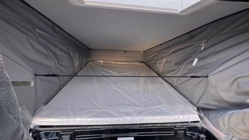 Buzzie – Brand new 4 person bus camper Carado 