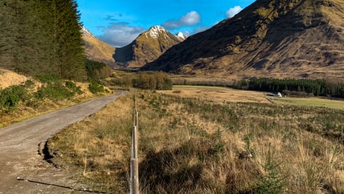 Bamboo Buck – Hashtagcampeurs 