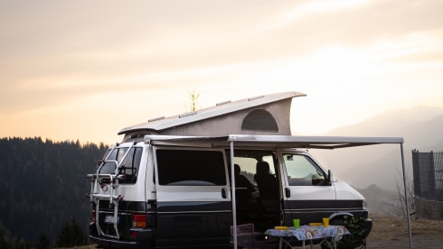 Vaiana – VW CALIFORNIA T4 Westfalia TDI
