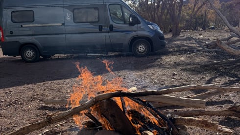 Vibes  – 2p Fiat bus uit 2020