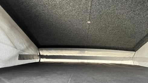 Clara – 4 berth Volkswagen campervan from 2021