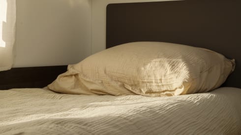 Hugo – Making memories with Hugo - from 2025