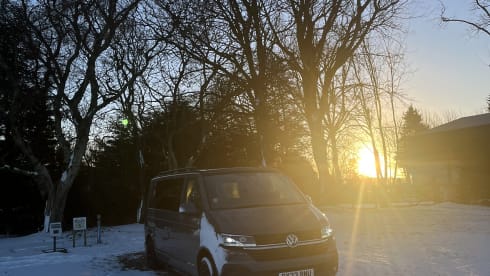 George – 4 berth Volkswagen campervan from 2023