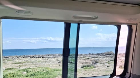 Faustino  – Hotel California 