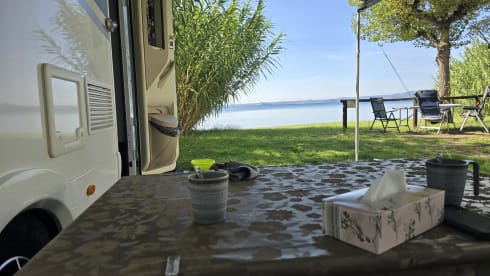 4p McLouis carat integraal uit 2019