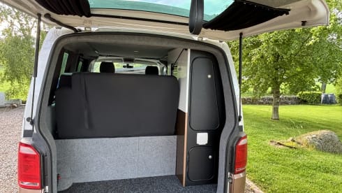 Goldie – Explore with Goldie - Up to 6 Berth VW T6 Campervan