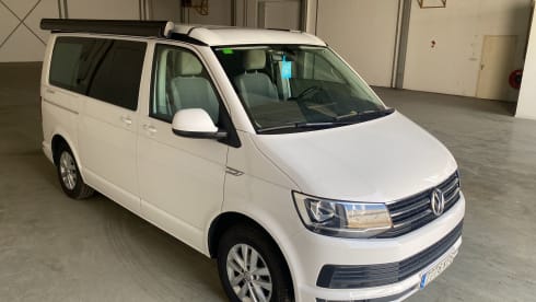 Cali  – Volkswagen California T6 (Factory Camper, original)