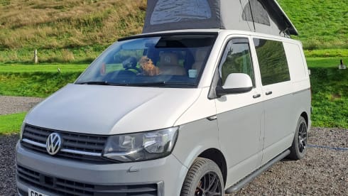 4 berth Volkswagen bus from 2019