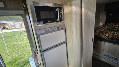 Zweisitziger Fiat Alcove aus dem Jahr 2010