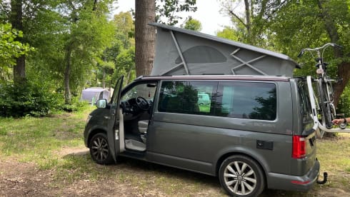 Boelie – 4p Volkswagen bus from 2018