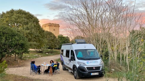 Sports van - Surf & Bike (electric)